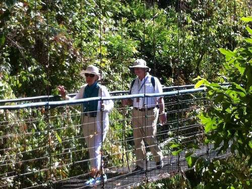 Puerto Caldera Private Rainforest Treetop Skywalk, River Cruise and Sightseeing Excursion