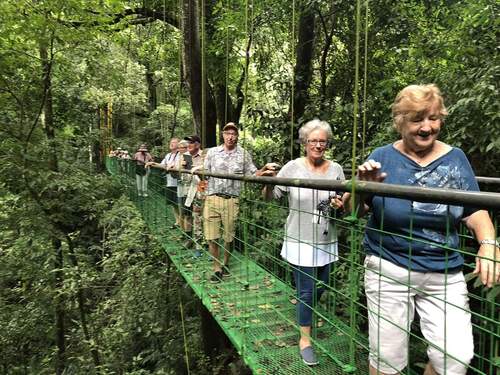 Puerto Caldera Private Rainforest Treetop Skywalk, River Cruise and Sightseeing Excursion
