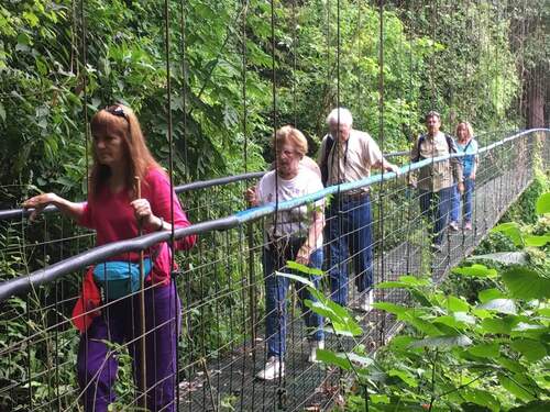 Puerto Caldera Private Rainforest Treetop Skywalk, River Cruise and Sightseeing Excursion