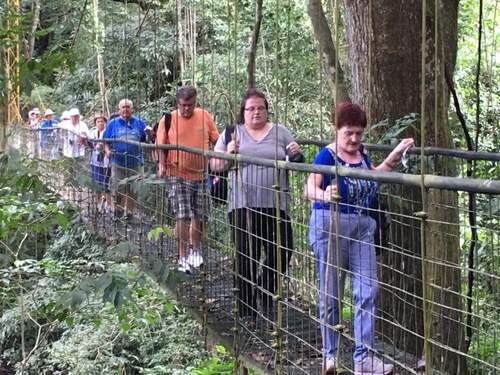 Puerto Caldera Private Rainforest Treetop Skywalk, River Cruise and Sightseeing Excursion
