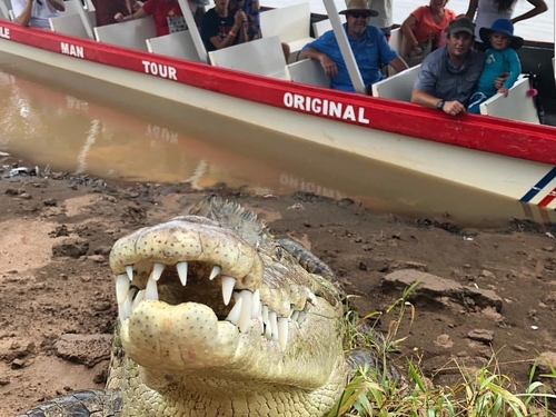 Puerto Caldera Private Rainforest Treetop Skywalk, River Cruise and Sightseeing Excursion