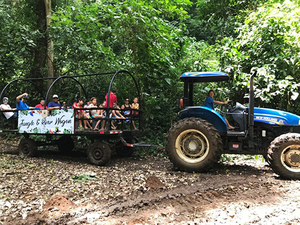Puerto Caldera Rainforest Wagon Ride and Tarcoles River Eco Cruise Excursion