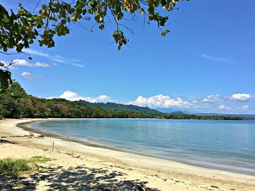 Puerto Limon Private Highlights, Rainforest, City, River Cruise, Banana Plantation and Shopping Excursion