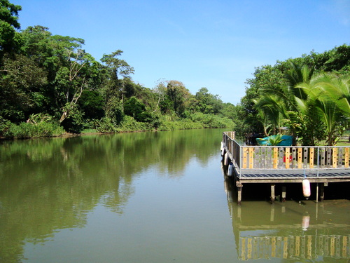 Puerto Limon Private Highlights, Rainforest, City, River Cruise, Banana Plantation and Shopping Excursion