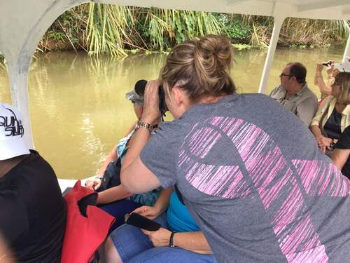 Puerto Limon Private Rainforest Tortuguero Canal and Banana Plantation Excursion