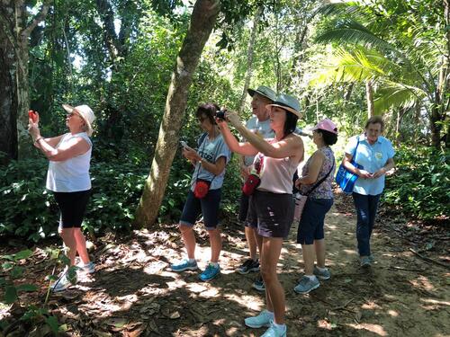 Puerto Limon Private Rainforest Tortuguero Canal and Banana Plantation Excursion