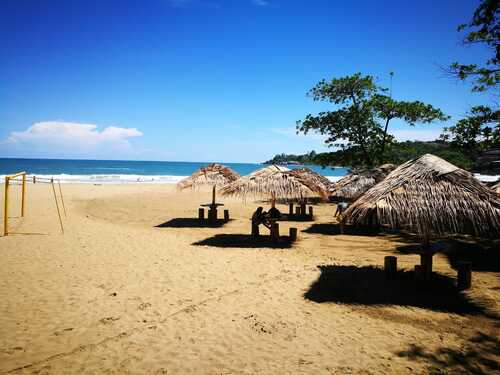 Puerto Limon Private Rainforest Tortuguero Canal and Banana Plantation Excursion