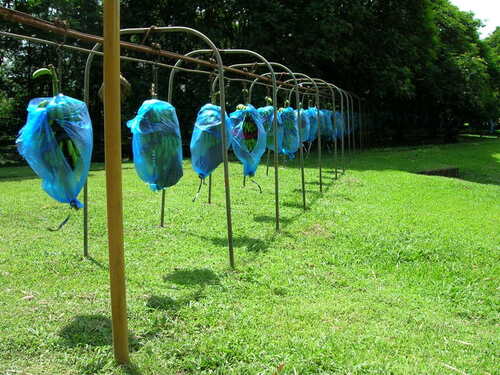 Puerto Limon Private Rainforest Tortuguero Canal and Banana Plantation Excursion