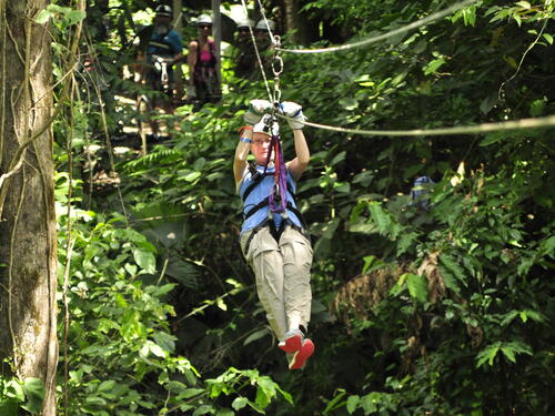 Puerto Limon Private Zip Line Canopy and Tortuguero Jungle River Cruise Excursion