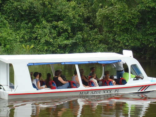 Puerto Limon Private Zip Line Canopy and Tortuguero Jungle River Cruise Excursion