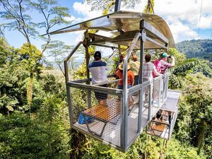 Puerto Limon Veragua Rainforest Exploration and Aerial Tram Excursion