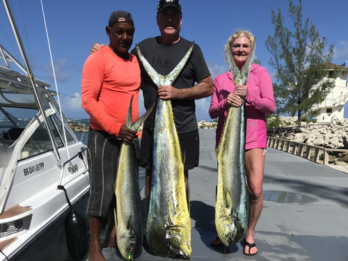 Puerto Plata Taino Bay  Dominican Republic Fishing Shore Excursion Reviews