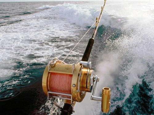 Puerto Plata Taino Bay Fishing Excursion Booking