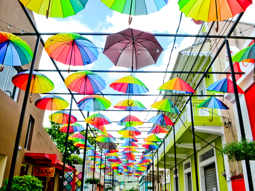 Puerto Plata Taino Bay Cigar Factory Sightseeing Tour Reviews