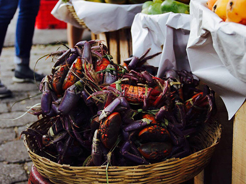 Puerto Quetzal Food Culture Cooking Trip Tickets