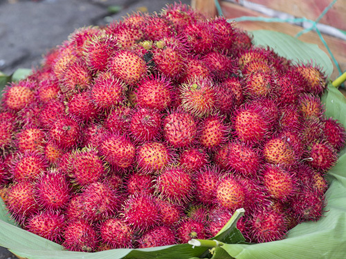 Puerto Quetzal Guatemala Food Culture Cooking Trip Reservations