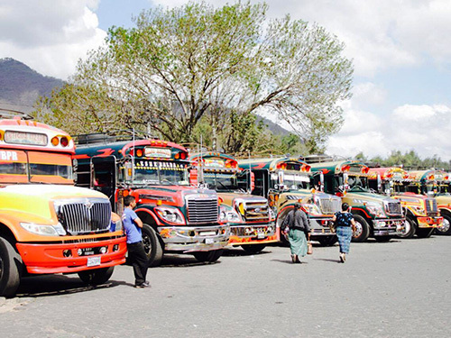 Puerto Quetzal Sweets Cooking Shore Excursion Cost