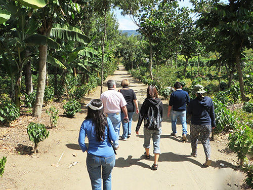 Puerto Quetzal Antigua Walking Excursion Booking