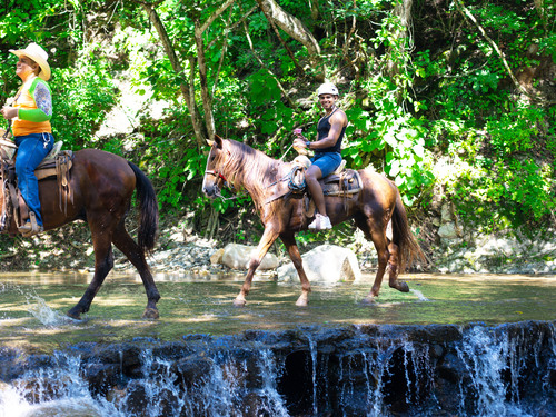 Puerto Vallarta Horseback Riding Tour Cost