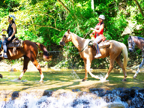 Puerto Vallarta Horseback Riding Tour Reviews