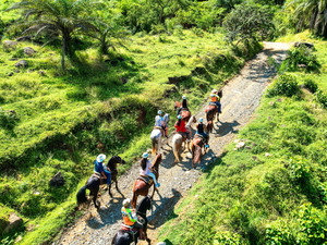 Puerto Vallarta Horseback Riding Adventure Excursion