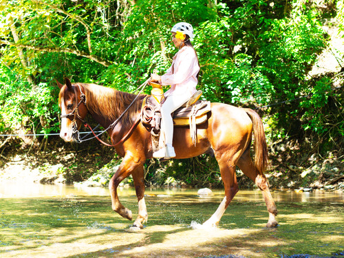 Puerto Vallarta Horseback Riding Shore Excursion Cost