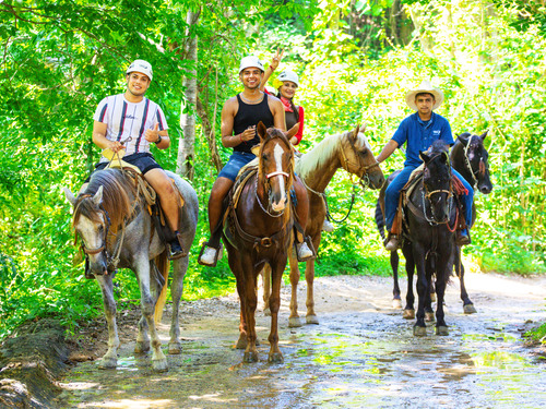 Puerto Vallarta Horseback Riding Excursion Booking