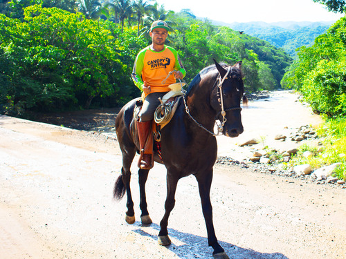 Puerto Vallarta  Mexico Horseback Riding Cruise Excursion Prices