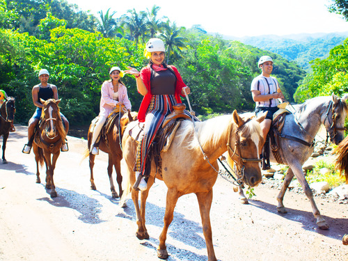 Puerto Vallarta Horseback Riding Trip Reviews