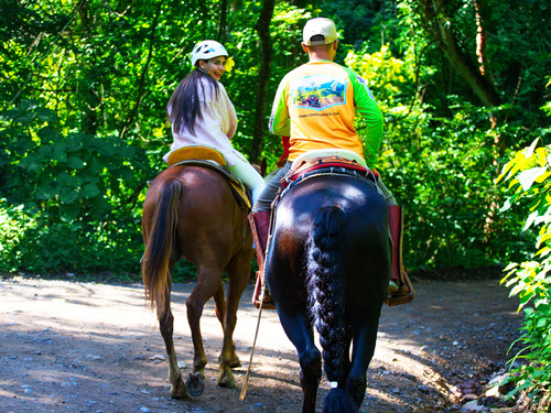 Puerto Vallarta Horseback Riding Shore Excursion Reviews