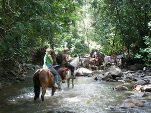 Puntarenas Beach and Rainforest Horseback Riding with Crocodile Safari Boat Excursion