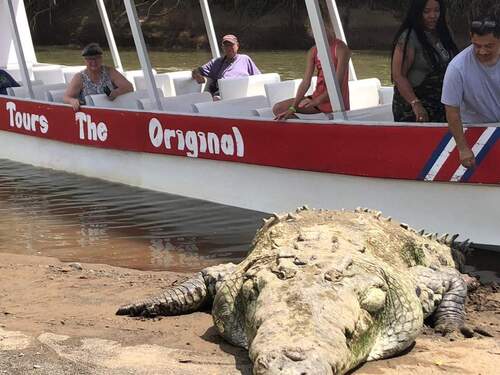Puntarenas Private Jungle and River ATV Adventure and Crocodile Boat Excursion