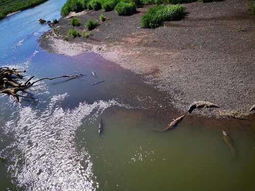 Puntarenas Private Jungle and River ATV Adventure and Crocodile Boat Excursion