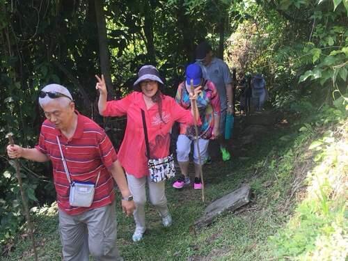 Puntarenas Private Rainforest Treetop Skywalk and Tarcoles River Cruise Excursion
