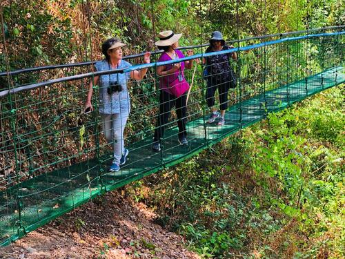 Puntarenas Private Rainforest Treetop Skywalk and Tarcoles River Cruise Excursion