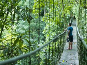 Puntarenas Private Rainforest Treetop Skywalk and Tarcoles River Cruise Excursion