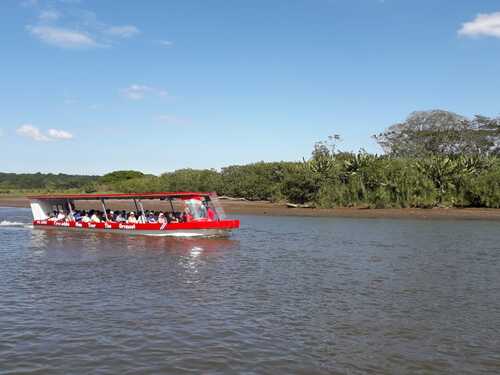 Puntarenas Private Rainforest Treetop Skywalk and Tarcoles River Cruise Excursion