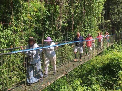 Puntarenas Private Rainforest Treetop Skywalk and Tarcoles River Cruise Excursion