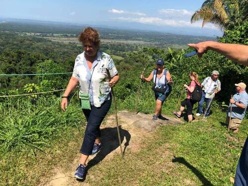 Puntarenas Private Rainforest Treetop Skywalk and Tarcoles River Cruise Excursion