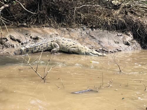 Puntarenas Private Super Combo Highlights and Sightseeing Excursion