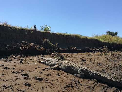 Puntarenas Private Super Combo Highlights and Sightseeing Excursion