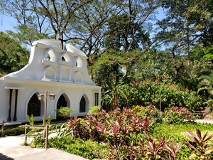 Puntarenas Rainforest Wagon Ride and Tarcoles River Eco Cruise Excursion