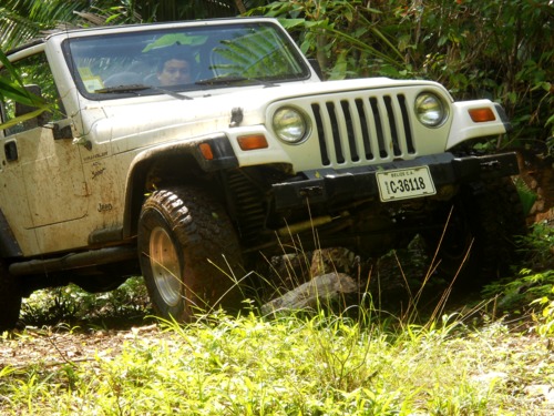 Belize City jungle jeep Trip Booking