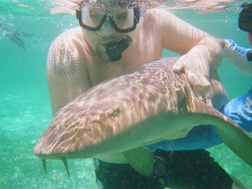 Belize snorkeling Reviews