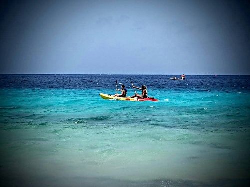 Curacao Willemstad kayaking Tour Booking