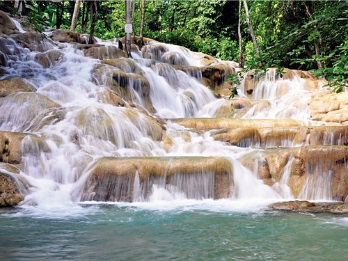 Ocho Rios Jamaica zipline Trip Reservations