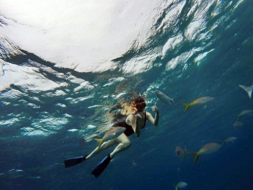 Grand Turk  Turks and Caicos shallow coral reef Tour Booking