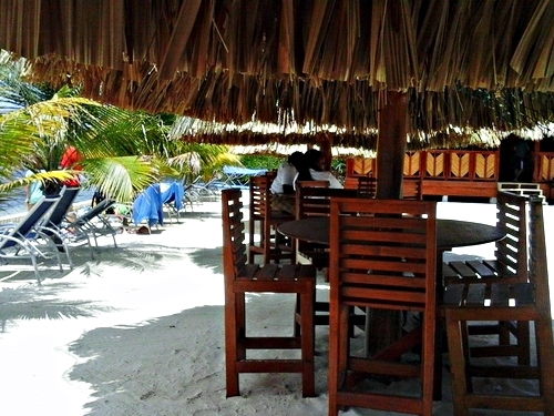 Roatan  Honduras mangrove tour Tour Reviews