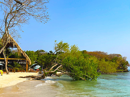 Roatan resort Day Pass Cruise Excursion Reviews