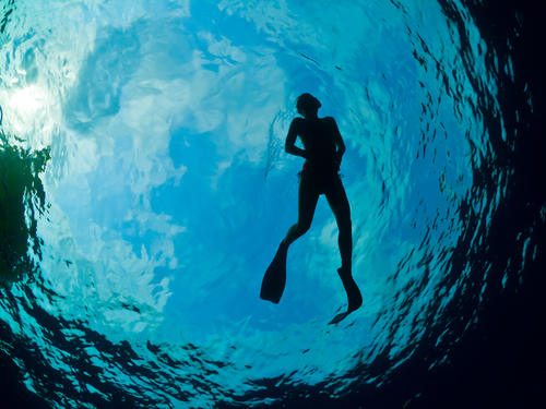 Roatan Caribbean Fish Trip Reviews